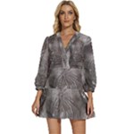 Han Solo In Carbonite V-Neck Placket Mini Dress