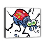 Bug Black Insect Animal Canvas 10  x 8  (Stretched)