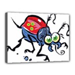 Bug Black Insect Animal Canvas 16  x 12  (Stretched)