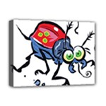 Bug Black Insect Animal Deluxe Canvas 16  x 12  (Stretched) 