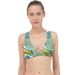 Fish Hook Worm Bait Water Hobby Classic Banded Bikini Top