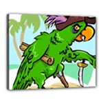 Parrot Hat Cartoon Captain Canvas 20  x 16  (Stretched)