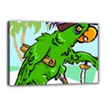 Parrot Hat Cartoon Captain Canvas 18  x 12  (Stretched)