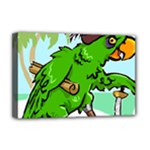 Parrot Hat Cartoon Captain Deluxe Canvas 18  x 12  (Stretched)