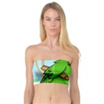 Parrot Hat Cartoon Captain Bandeau Top