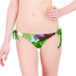 Parrot Hat Cartoon Captain Bikini Bottoms
