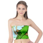Parrot Hat Cartoon Captain Tube Top