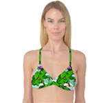 Parrot Hat Cartoon Captain Reversible Tri Bikini Top