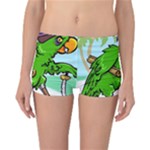 Parrot Hat Cartoon Captain Reversible Boyleg Bikini Bottoms