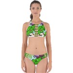 Parrot Hat Cartoon Captain Perfectly Cut Out Bikini Set