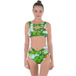 Parrot Hat Cartoon Captain Bandaged Up Bikini Set 