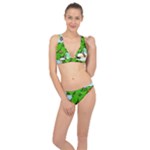 Parrot Hat Cartoon Captain Classic Banded Bikini Set 