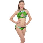 Parrot Hat Cartoon Captain Cross Front Halter Bikini Set