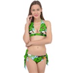 Parrot Hat Cartoon Captain Tie It Up Bikini Set
