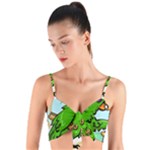 Parrot Hat Cartoon Captain Woven Tie Front Bralet