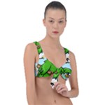 Parrot Hat Cartoon Captain Front Tie Bikini Top