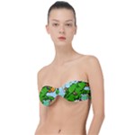 Parrot Hat Cartoon Captain Classic Bandeau Bikini Top 