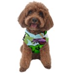 Parrot Hat Cartoon Captain Dog Sweater
