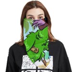 Parrot Hat Cartoon Captain Face Covering Bandana (Triangle)