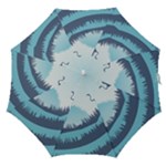 Swan Flying Bird Wings Waves Grass Straight Umbrellas