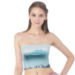 Swan Flying Bird Wings Waves Grass Tube Top
