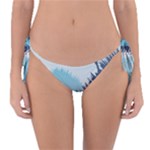Swan Flying Bird Wings Waves Grass Reversible Bikini Bottoms
