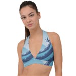 Swan Flying Bird Wings Waves Grass Halter Plunge Bikini Top