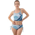 Swan Flying Bird Wings Waves Grass Mini Tank Bikini Set