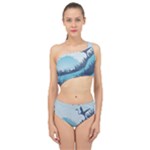 Swan Flying Bird Wings Waves Grass Spliced Up Two Piece Swimsuit