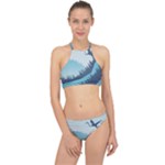 Swan Flying Bird Wings Waves Grass Halter Bikini Set