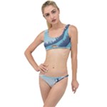 Swan Flying Bird Wings Waves Grass The Little Details Bikini Set