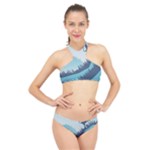 Swan Flying Bird Wings Waves Grass High Neck Bikini Set