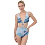 Swan Flying Bird Wings Waves Grass Tied Up Two Piece Swimsuit