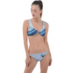 Swan Flying Bird Wings Waves Grass Ring Detail Crop Bikini Set