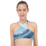 Swan Flying Bird Wings Waves Grass High Neck Bikini Top