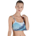 Swan Flying Bird Wings Waves Grass Layered Top Bikini Top 