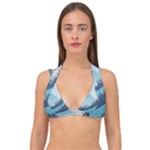 Swan Flying Bird Wings Waves Grass Double Strap Halter Bikini Top