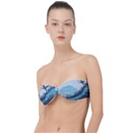 Swan Flying Bird Wings Waves Grass Classic Bandeau Bikini Top 