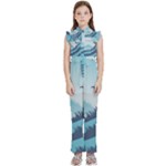 Swan Flying Bird Wings Waves Grass Kids  Sleeveless Ruffle Edge Band Collar Chiffon One Piece