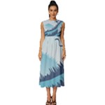 Swan Flying Bird Wings Waves Grass Sleeveless Round Neck Midi Dress