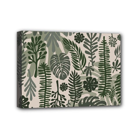 Plants Leaves Boho Botany Foliage Mini Canvas 7  x 5  (Stretched) from ArtsNow.com