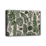 Plants Leaves Boho Botany Foliage Mini Canvas 7  x 5  (Stretched)