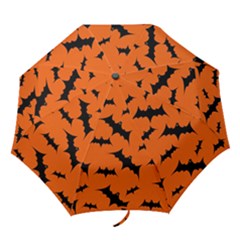 Folding Umbrella 