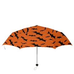 Folding Umbrella 