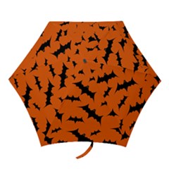 Mini Folding Umbrella 