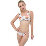 Seamless Pattern Vector Owl Cartoon With Bugs The Little Details Bikini Set
