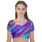 Multicolored Abstract Background Velvet Short Sleeve Crop Top 