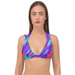 Multicolored Abstract Background Double Strap Halter Bikini Top