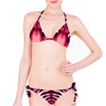 Tiger Design Classic Bikini Set