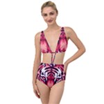 Tiger Design Tied Up Two Piece Swimsuit